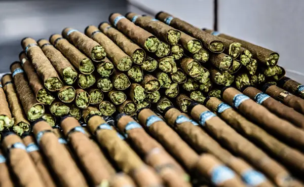 El Blunto In Bulk