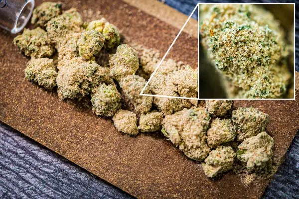 El Blunto Open Up W Hash