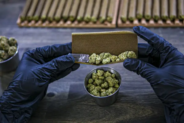 Rolling An El Blunto