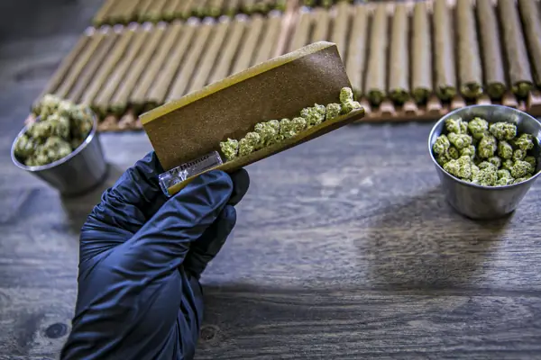 Rolling An El Blunto2